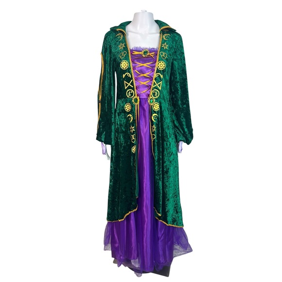 Dresses & Skirts - Hocus Pocus Winifred Sanderson Halloween Cosplay Velvet Medieval Gown Medium